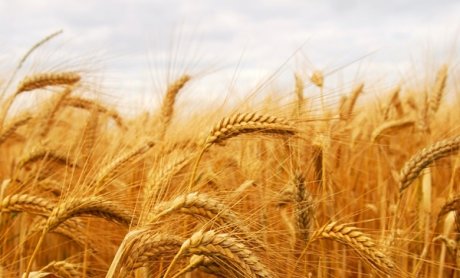 ΑΠΟΚΛΕΙΣΤΙΚΟ: Έδωσαν το χέρι Γαλλική Groupama και Basak-İnam Sıgorta Sirketi