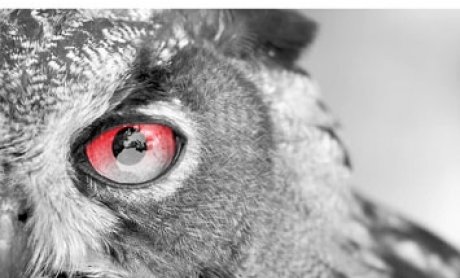 Στην αγορά εστιάζει το νεό τεύχος της Atradius