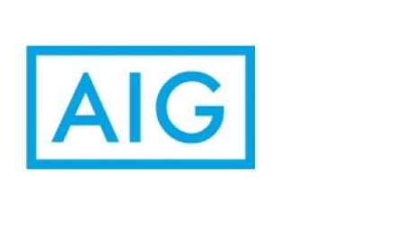 AIG: Στρατηγικές κινήσεις το 2013 με στόχο τη συνέχιση της επιτυχούς πορείας της