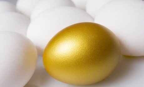 Τετράγωνα αυγά σε στρογγυλές αυγοθήκες