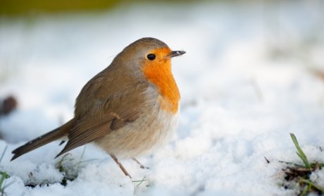 Σας παρακαλώ μην ξεχνάτε τους συνεργάτες σας στην παγωμένη Φλώρινα και τη Βόρειο Ελλάδα του χιονιού…
