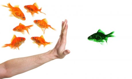 Ποιοι άνεργοι του ΕΤΑΠ-ΜΜΕ εξαιρούνται επιβολής έκτακτων μέτρων;