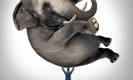 Οι «τραπεζικοί» είδαν πολλά λάθη στις εξετάσεις πιστοποιητικών Α’ και Δ’, οι ασφαλιστές ούτε που ασχολήθηκαν…