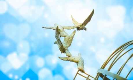 Απελεύθερος: Το project Nemo και οι τράπεζες