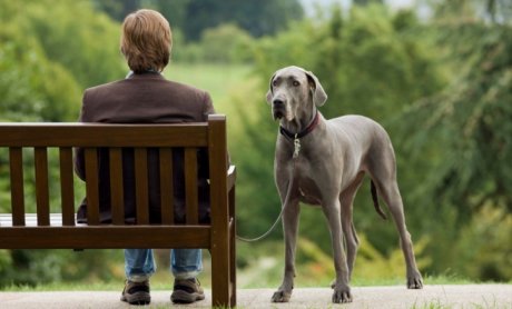 Απαράδεκτες ‘ενοχλήσεις’ πελατών. Υπό επιτροπεία και οι πωλήσεις;