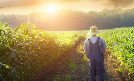  Οι αγρότες θα μετακινηθούν προς τα αστικά κέντρα λέει η Swiss Re