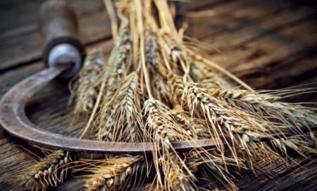 Οι αναπτυξιακές δυνατότητες του αγροτροφικού συστήματος στην Ελλάδα