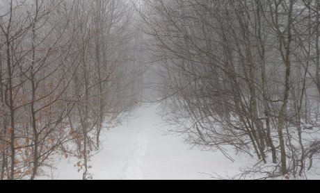 Αραρίσκοντας Ηλίας Προβόπουλος: Περπάτημα με ομίχλη στην χιονισμένη Καράβα