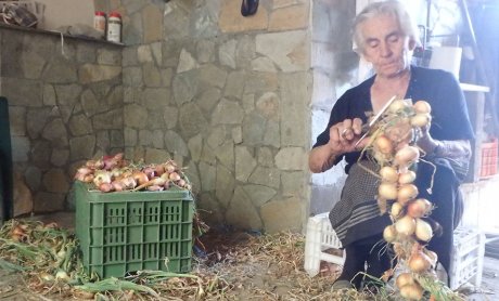 Αραρίσκοντας Ηλίας Προβόπουλος: Και τα κρεμμύδια θέλουν την κοτσίδα τους