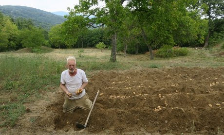 Αραρίσκοντας Ηλίας Προβόπουλος: Ένα μάθημα από πατάτες (α)