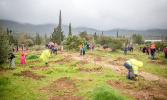 Η Εθνική Ασφαλιστική συμμετείχε ενεργά στο «GreenAthlon»