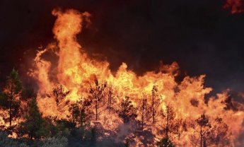Πυρκαγιά Αττική: Σε πλήρη εξέλιξη η έρευνα για τους αγνοούμενους - Μακραίνει ο κατάλογος των θυμάτων
