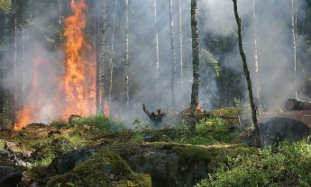 Οδηγίες προστασίας από τις δασικές πυρκαγιές (video)