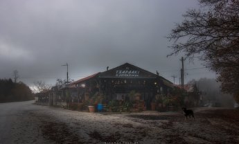 Αραρίσκοντας Ηλίας Προβόπουλος: Ρημάξανε τα διάσελα...