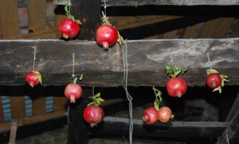 Αραρίσκοντας Ηλίας Προβόπουλος: Τα φρούτα που στολίζουν το ταβάνι
