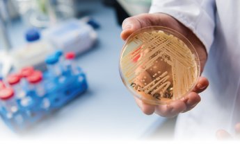 Μύκητας Candida auris: πόσο πρέπει να ανησυχούμε