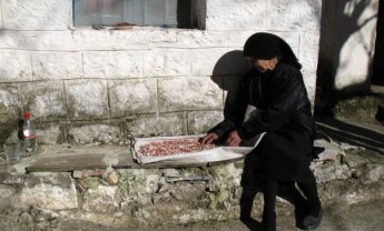 Η Δημήτρω και η σκιά της, του Ηλία Προβόπουλου