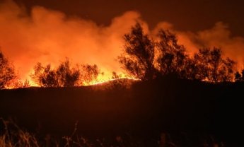 Ενημέρωση Γιάννη Αρτοποιού: 18 νεκροί μετανάστες στην περιοχή της Δαδιάς!