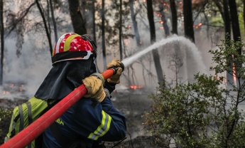 Μάχη με τα πύρινα μέτωπα - Τραυματίστηκαν πυροσβέστες στην Καβάλα!