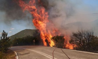 Πυρκαγιά - Έβρος: Σοβαρές οι επιπτώσεις στις επιχειρήσεις - Ζημιές σε 120.000 τ.μ. βιομηχανικών κτηρίων!