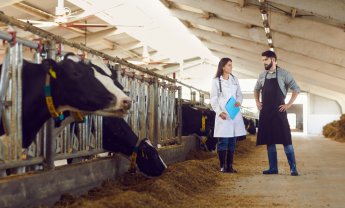 Ασφάλιση βιομηχανικών μονάδων εκτροφής αγροτικών ζώων στην Ελλάδα