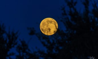 Μια κόκκινη Πανσέληνος που δεν θα δούμε…