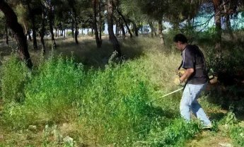 Aντιπυρική περίοδος: Ο καθαρισμός οικοπέδων από τα βασικά εργαλεία πρόληψης- Σε εξέλιξη το πρόγραμμα «ΑΙΓΙΣ», ύψους 2 δισ. ευρώ