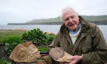 David Attenborough: Ο άνθρωπος που άκουσε τον χρόνο μέσα στις πέτρες