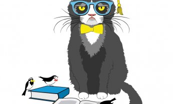 ΖΗΜΙΕΣ ΣΕ ΜΕΓΑΛΗ ΣΥΧΝΟΤΗΤΑ ΜΕ ΤΑΥΤΟΧΡΟΝΗ ΣΧΕΔΟΝ ΗΜΕΡΟΜΗΝΙΑ έκδοσης ασφαλιστηρίου…!