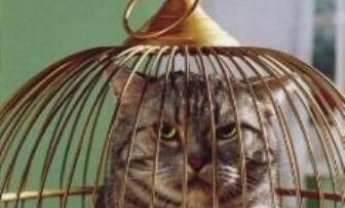 Συνέδριο-Απάτες…μη λείψει κανείς...πάρτε ιδέες!