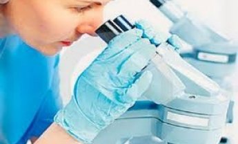 Διαπρέπουν οι Έλληνες στις ΗΠΑ!