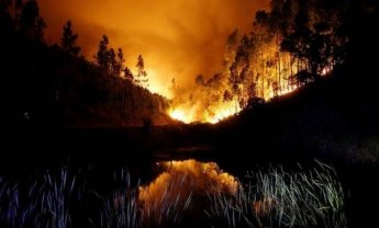 Πώς καλύπτονται οι ζημιές από «Πυρκαγιά Δάσους» μέσα από τα συμβόλαια περιουσίας;