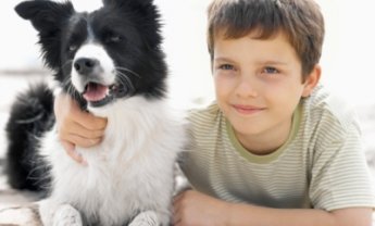 Σκυλί στο σπίτι