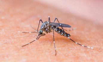 Ηλικιωμένος πέθανε από τον ιό του Δυτικού Νείλου