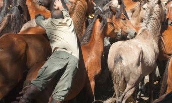 Συμβουλές από το www.nextdeal.gr: Η στρατολόγηση ασφαλιστή και τι πάει στραβά στην αποτυχία