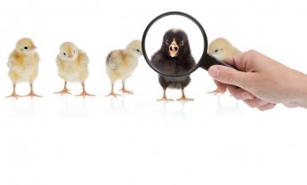 Σε ατομικό λογαριασμό όσοι ασφαλίστηκαν για πρώτη φορά το 2001