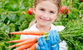 "Καρότα" - Κίνητρα να γίνεις σωστός ασφαλιστής!