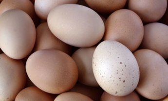 ΣΥΛΛΕΚΤΗΣ ΕΜΠΕΙΡΙΩΝ Ε. ΣΠΥΡΟΥ: ΑΝ ΔΕΙΣ ΣΤΟΝ ΥΠΝΟ ΣΟΥ ΑΣΠΡΑ ΑΥΓΑ! Πωλήσεις!