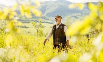 ΟΓΑ: Πότε θα πληρωθούν οι συντάξεις μηνός Ιουλίου;