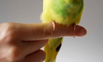 Ο Γιώργος ‘Μαύρος’ και η ‘υπαλληλοποίηση’ των Πωλήσεων