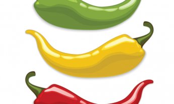 Εκτός αγοράς οδηγούνται πολλές εταιρίες ελληνικές με το χαμηλό τιμολόγιο, το PSI και τις πρασινοκόκκινες κάρτες!