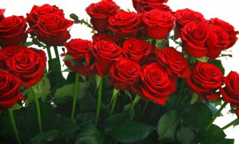 Γ. Χατζηθεοδοσίου: Η άλλη μέρα ήρθε;