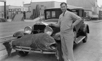 P-E-S-O-S: Προετοιμάστε τον ασφαλιστή να εκπαιδευτεί με αλήθειες και σωστές συνήθειες