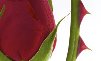 Ποιοι θα συνεργασθούν και θα γίνουν συνένοχοί τους;