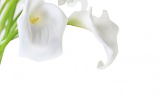 Ακούστε τι λέει ο Πολίτης Βρεττός