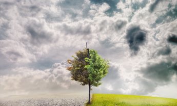 O CEO της Allianz ανάμεσα στους 43 διευθύνοντες συμβούλους που ζητούν συμφωνία για την κλιματική αλλαγή