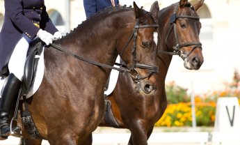 Οι πωλήσεις θέλουν μυαλό…όχι "άλογα" πόδια!