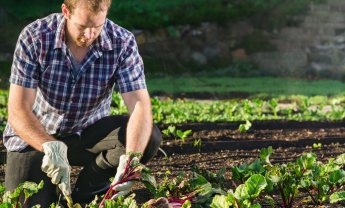 Εργάτες γης και Ασφάλιση