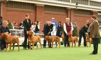 Έντονες διαμαρτυρίες ασφαλιστών στο Επιμελητήριο