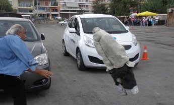 INTERAMERICAN: Πρωτοβουλίες για την οδική ασφάλεια 